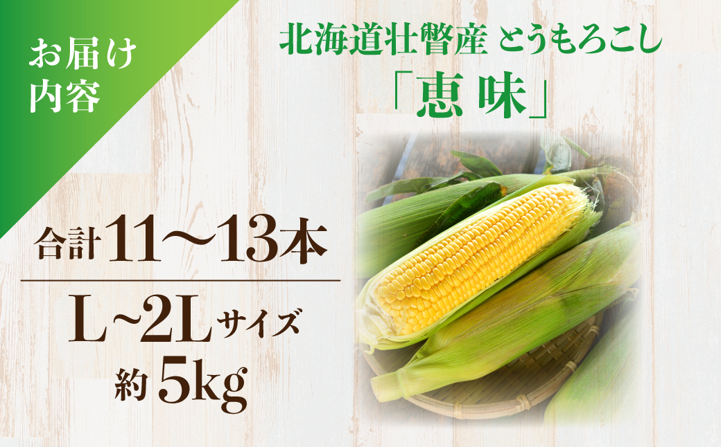 ＜2026年8月初旬よりお届け＞約5kg！北海道壮瞥産とうもろこし（恵味）【Ｌ〜2Lサイズ 11〜13本】 SBTP002