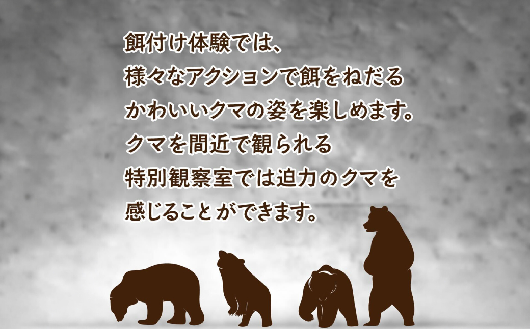 昭和新山熊牧場入場券4枚 SBTZ001