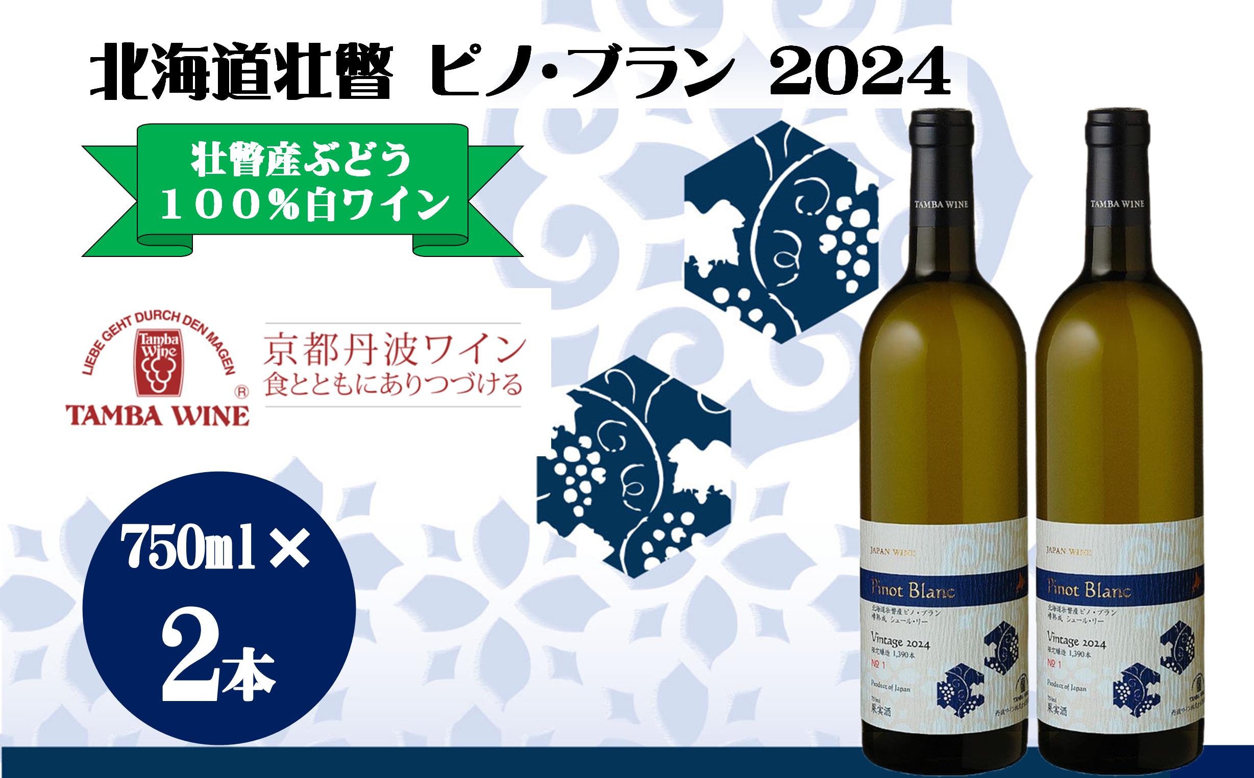 北海道壮瞥産 ピノ・ブラン2024(辛口白ワイン) 750ml×2本 SBTA085