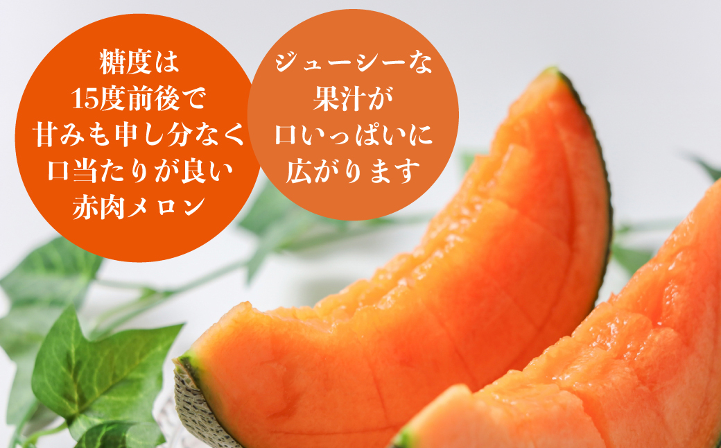 ＜2026年8月お届け＞赤肉メロン2玉ととうもろこし（恵味）11〜13本のセット  SBTP015