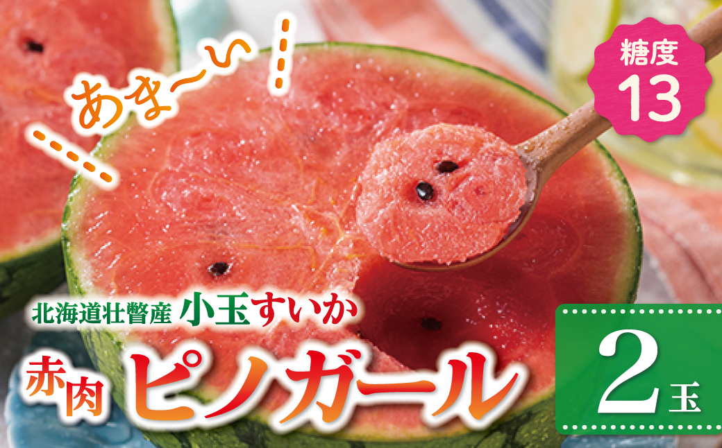 ＜2026年8月上旬より順次お届け＞北海道壮瞥産 小玉すいか（赤肉・ピノガール）2玉約3kg スイカ　 SBTN004