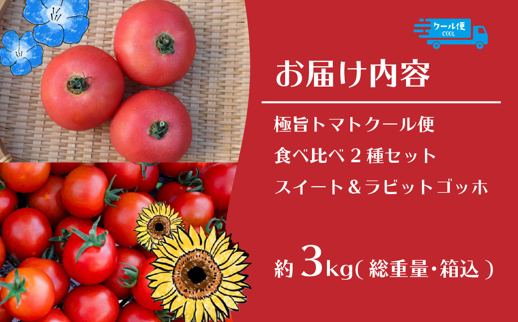 【2026年予約】極旨トマトクール便 食べ比べ2種セット 北海道壮瞥町産 スイート＆ラビットゴッホ 3kg 中玉トマト SBTAJ029