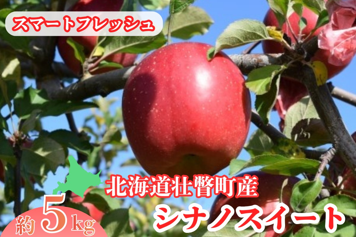 3・4月発送！ファームアグリエイトのりんご「シナノスイート」 約5kg（18～20玉）【スマートフレッシュ】 SBTB017