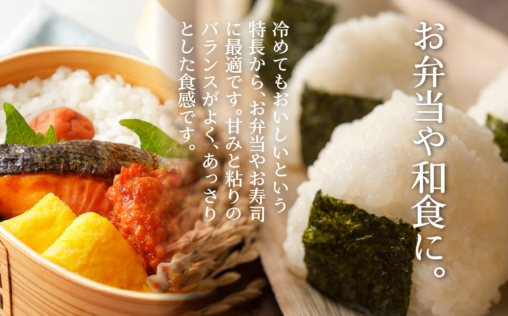 【令和7年産】（精米6kg）ホクレン喜ななつぼし（2kg×3袋）　SBTD086