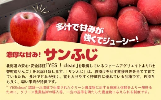 ファームアグリエイトのりんご食べ比べ「ぐんま名月」「サンふじ」計 約5kg（16～20玉）SBTB016