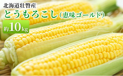 ＜2026年8上旬より順次お届け＞北海道壮瞥産 とうもろこし（恵味ゴールド）約10kg SBTA032