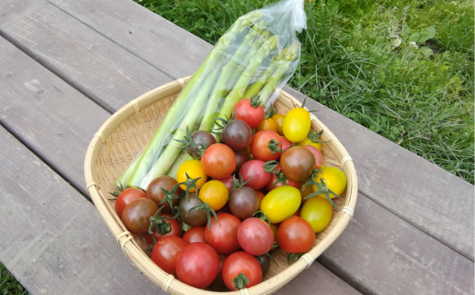 ＜2026年7月上旬よりお届け＞北海道壮瞥町産　大作農園「夏アスパラとカラフルミニトマト」のセット約1kg 先行予約 SBTR004