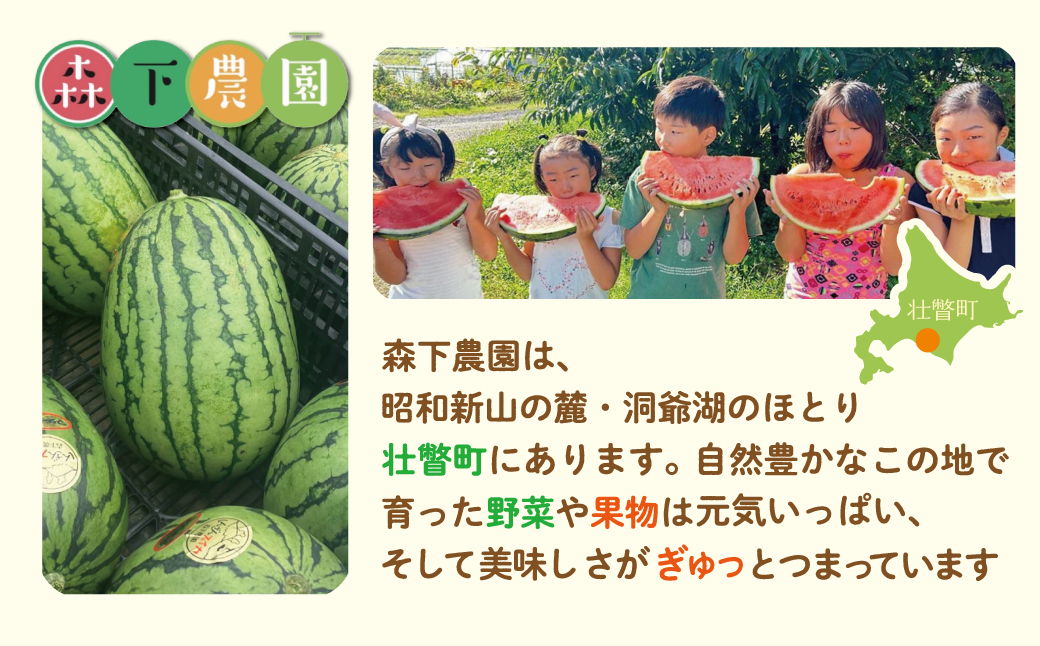 ＜2026年8月上旬よりお届け＞北海道壮瞥産　新山すいか 小玉すいか（マダーボール）Lサイズ2玉 スイカ SBTN002