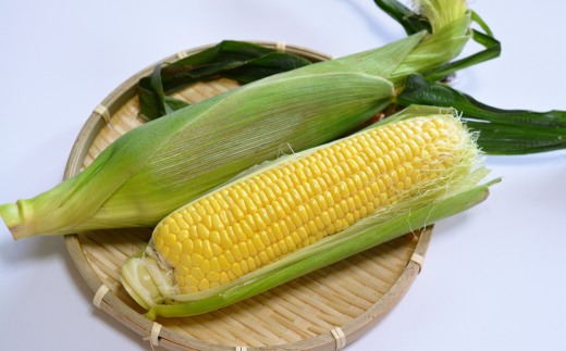 åæµ·é壮ç¥çº 2å å®æäŸ¿ 8æäžæ¬ã»8æäžæ¬ææ¡ãïŒç£å°çŽé åæµ·é壮ç¥çºç£ ãšãããããé»ã»çœ é£ã¹æ¯ã¹ SBTP011