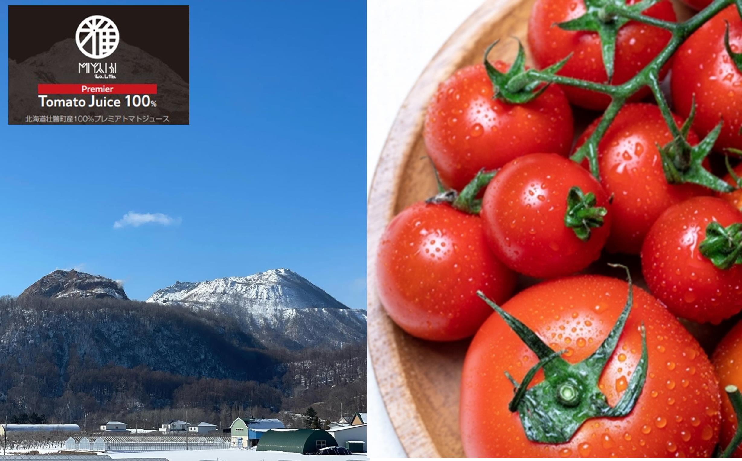 無添加トマトジュース（ストレート）180ml×2本【プレミア2本】SBTAK002