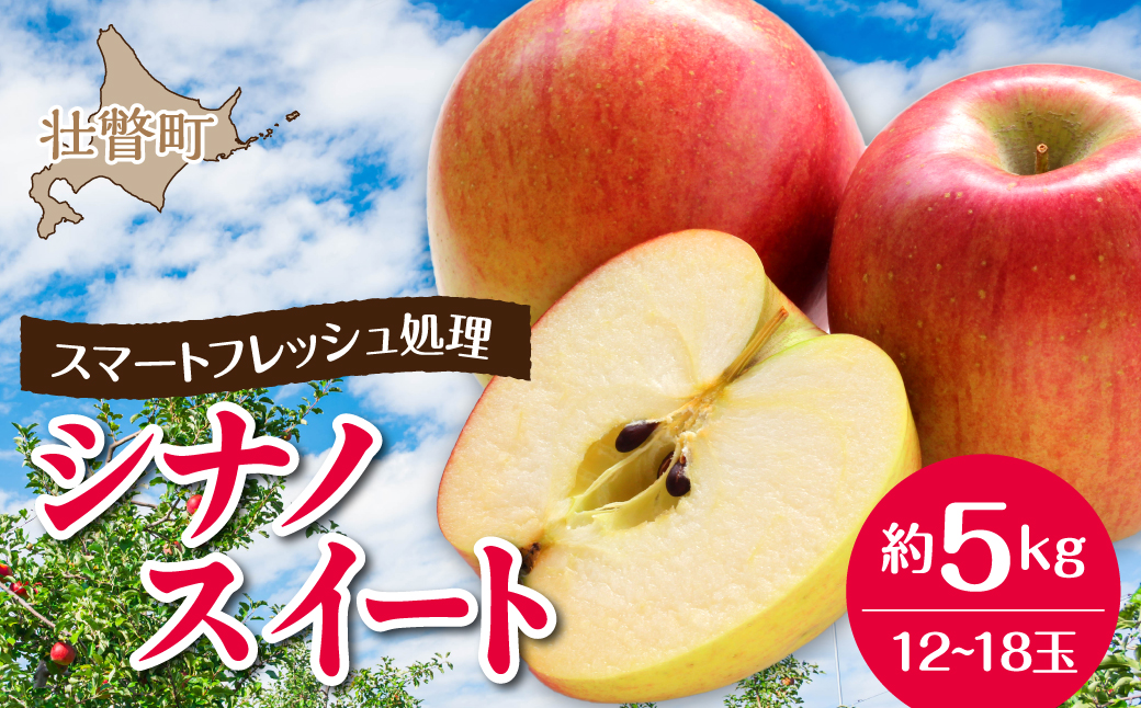 3月・4月発送！北海道壮瞥町　りんご(スマートフレッシュ)　品種名「シナノスイート」12～18玉約5kg　SBTF027