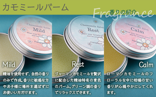 ã¢ããããŒã 10g 6çš®ã»ãã SBTX005