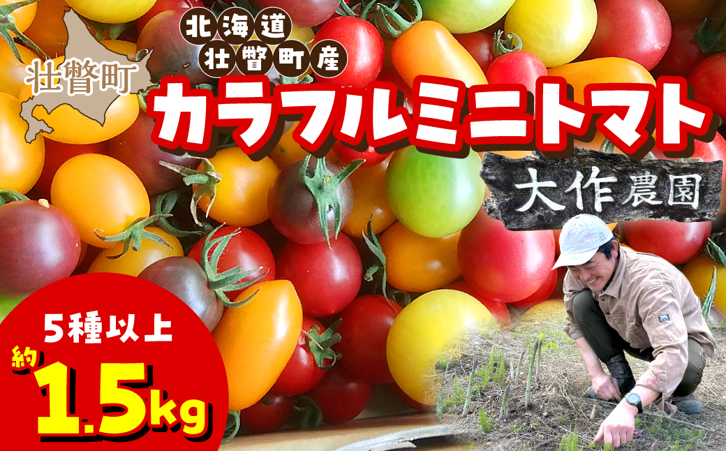 ＜2026年7月上旬よりお届け＞北海道壮瞥産 大作農園のカラフルミニトマト約1.5kg(5種以上) SBTR002