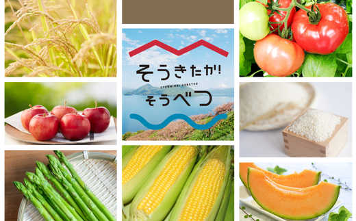 ＜2026年7月上旬よりお届け＞北海道壮瞥町産　大作農園「夏アスパラとカラフルミニトマト」のセット約1kg 先行予約 SBTR004