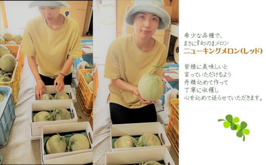 ïŒ2026幎7æäžæ¬ãããå±ãïŒåæµ·é壮ç¥ç£ èµ€èã¡ãã³ïŒãã¥ãŒãã³ã°ã¡ãã³ïŒ2ç çŽ3kg SBTN003