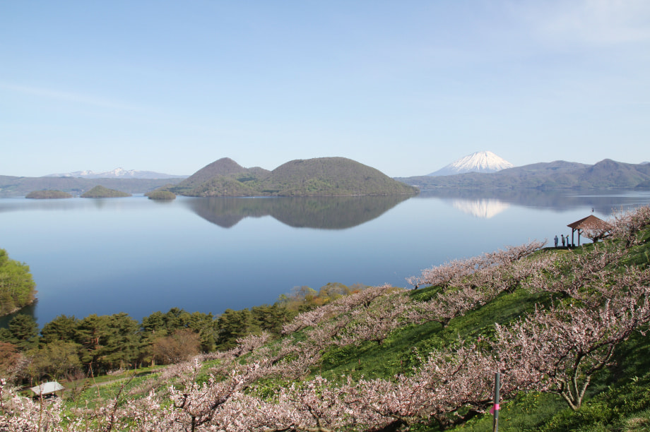 景観や環境の保全