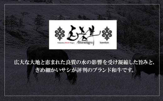 定期便6カ月 お楽しみ 白老牛 Ｗチーズ ハンバーグ セット 20個 モッツァレラ 特製ソース ベーコン 手造り