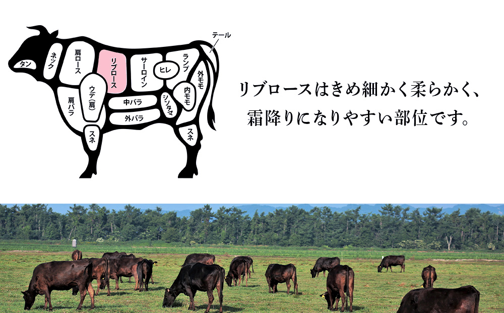 【定期便 3カ月】 北海道 白老産 黒毛和牛 リブロース すき焼き 500ｇ (2・3人前)
