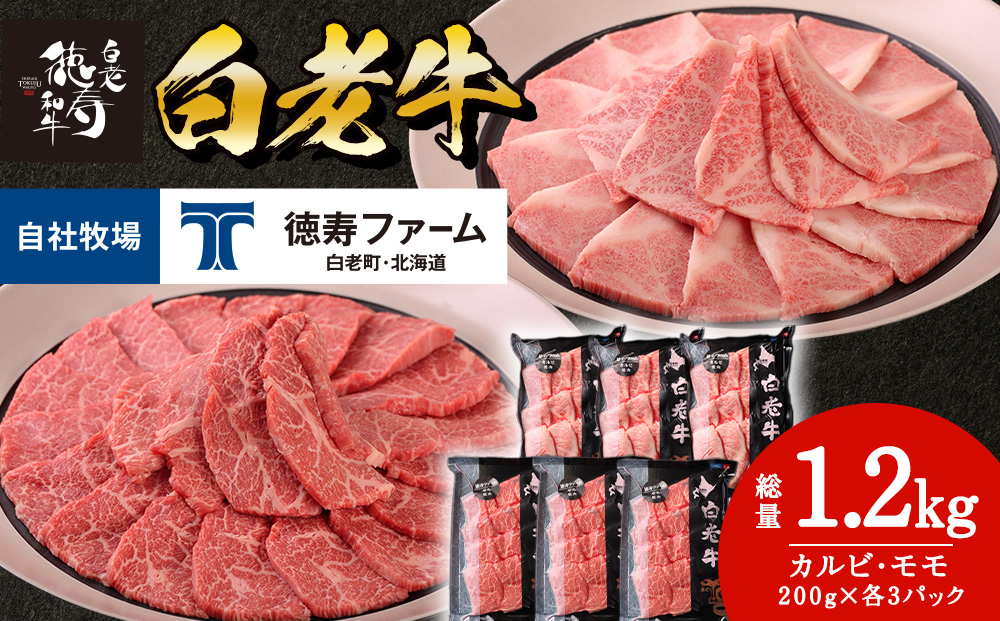 白老牛 焼肉 霜降り カルビ＆モモ セット 合計1.2kg（各600ｇ）特製焼肉のたれ付き 和牛 牛肉 北海道 ギフト ＜徳寿＞ 