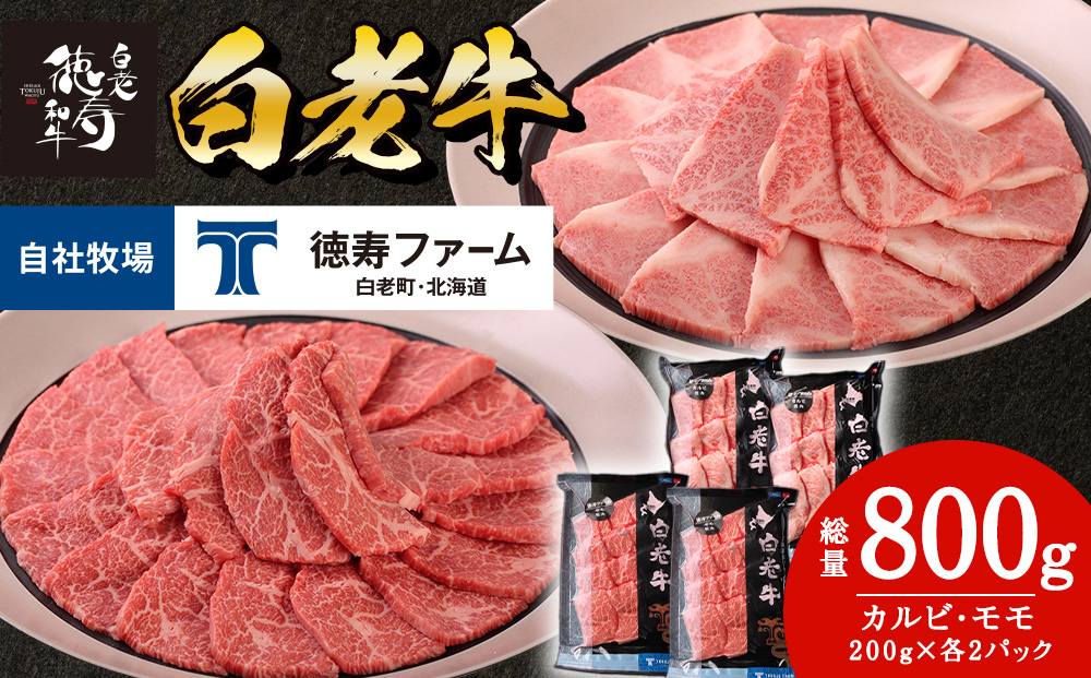 白老牛 焼肉 霜降り カルビ＆モモ セット 合計800ｇ（各400ｇ）特製焼肉のたれ付き 和牛 牛肉 北海道 ギフト ＜徳寿＞