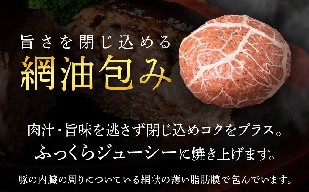 【3ヶ月定期便】白老牛　中おちプレミアムハンバーグ200g×5個【かねかん】