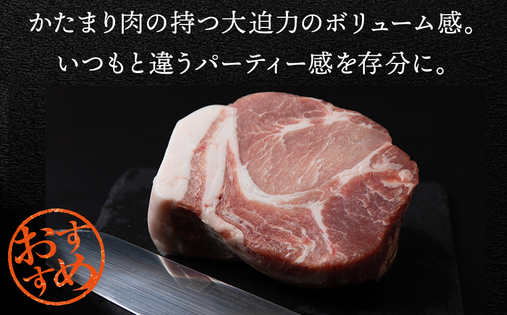 【定期便 3カ月】北海道産 白老豚 肩ロース ブロック 500g×2パック