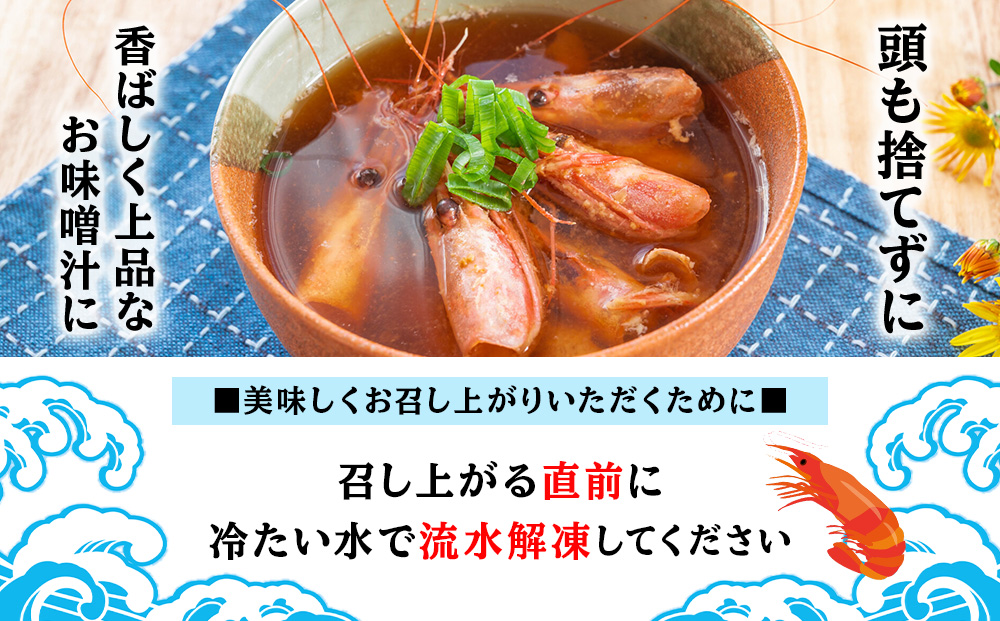 甘海老 北海道 虎杖浜産 約600g 生 えび エビ アマエビ あまえび 海老 虎杖浜 国産 白老