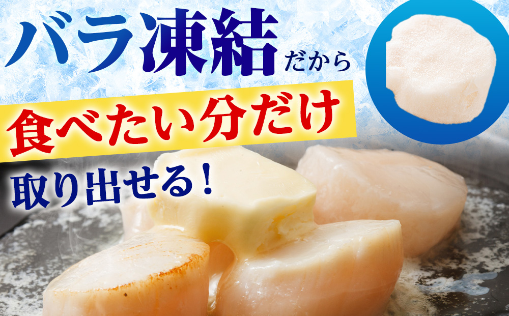 【訳あり】北海道産 白老加工 ホタテ玉冷〈フレーク〉500g×1＜斉藤水産＞玉冷 貝柱
