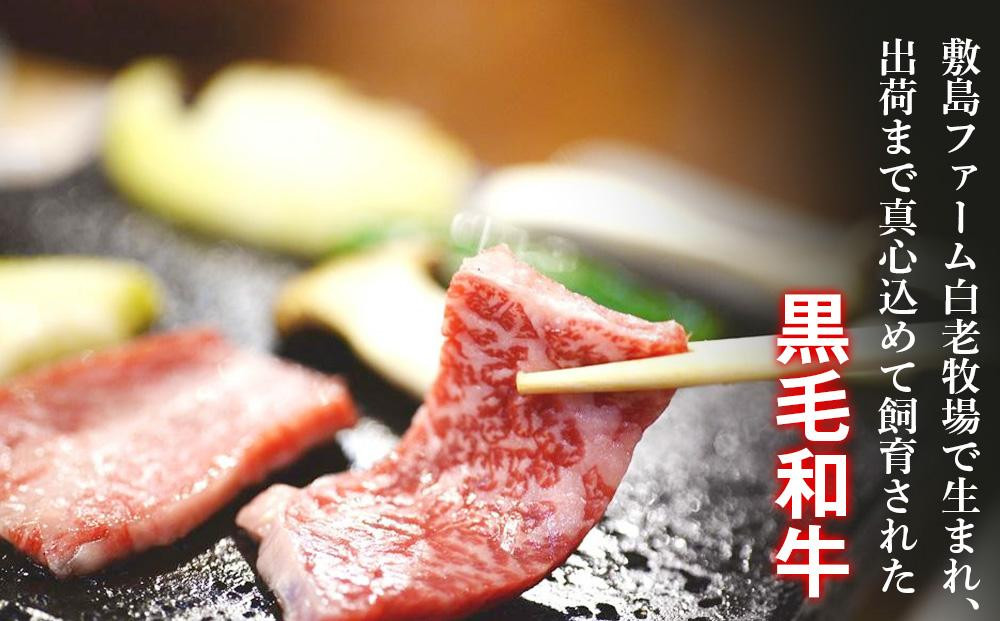 白老和牛焼肉セット《敷島ファーム》