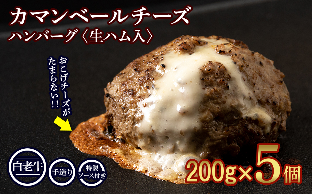 北海道産 白老牛 カマンベールチーズハンバーグ 5個セット 冷凍 チーズ イン ハンバーグ