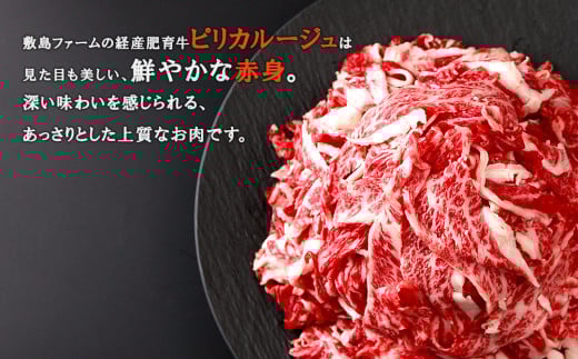 çœèç£é»æ¯åç1.2kgããªã«ã«ãŒãžã¥è¶
äžèœã¹ã©ã€ã¹ã»ããïŒ300ïœÃ4ããã¯ïŒ