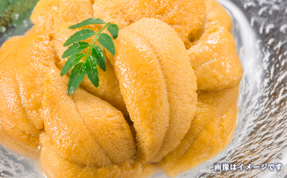 2026年発送 先行受付 ウニ本来の味が楽しめる【白老産】塩水ムラサキウニ 100g×1パック　BT007