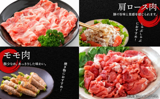 北海道産 白老豚 食べ比べセット（ロース・バラ・肩ロース・モモ各250g） 豚肉 冷凍 国産 スライス