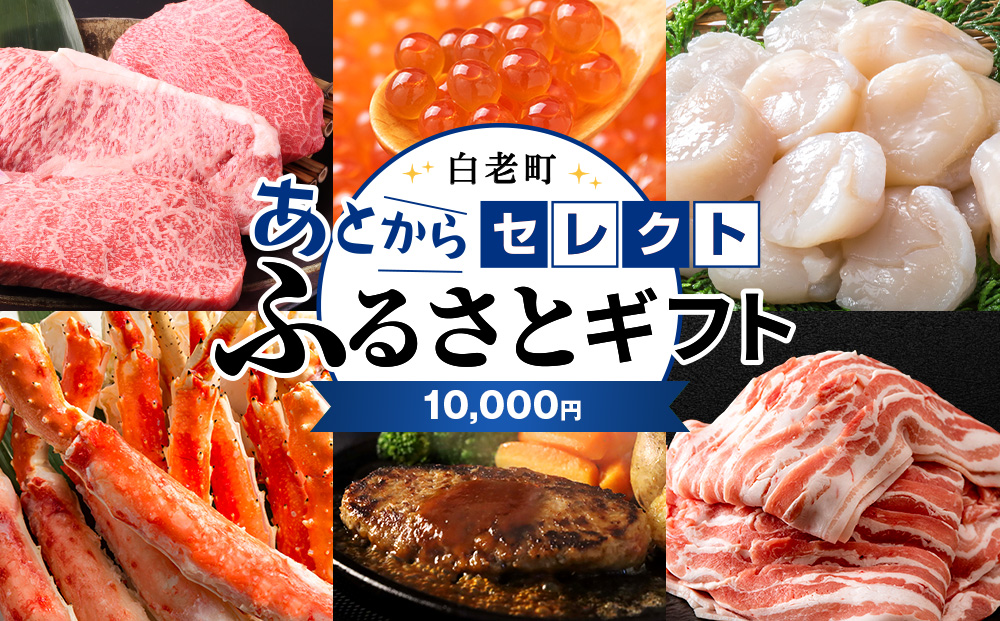 あとからセレクト 【ふるさとギフト】《10,000円分》