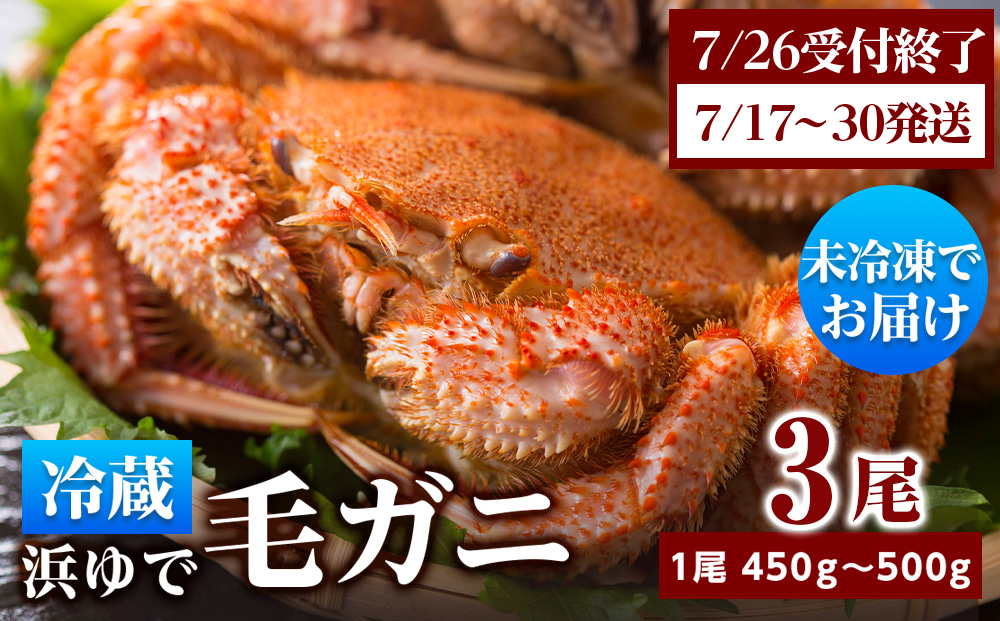 ★期間限定★ 浜ゆで！毛ガニ 約400g～450g×3尾 チルド配送 7/17~7/30発送【斉藤水産】 北海道 冷蔵 チルド 毛蟹 カニ かに 白老 前浜