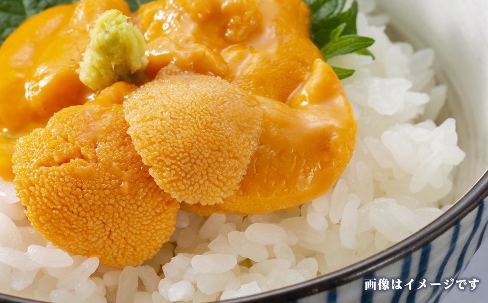 2026年発送 先行受付 ウニ本来の味が楽しめる【白老産】塩水ムラサキウニ 100g×3パック BT009