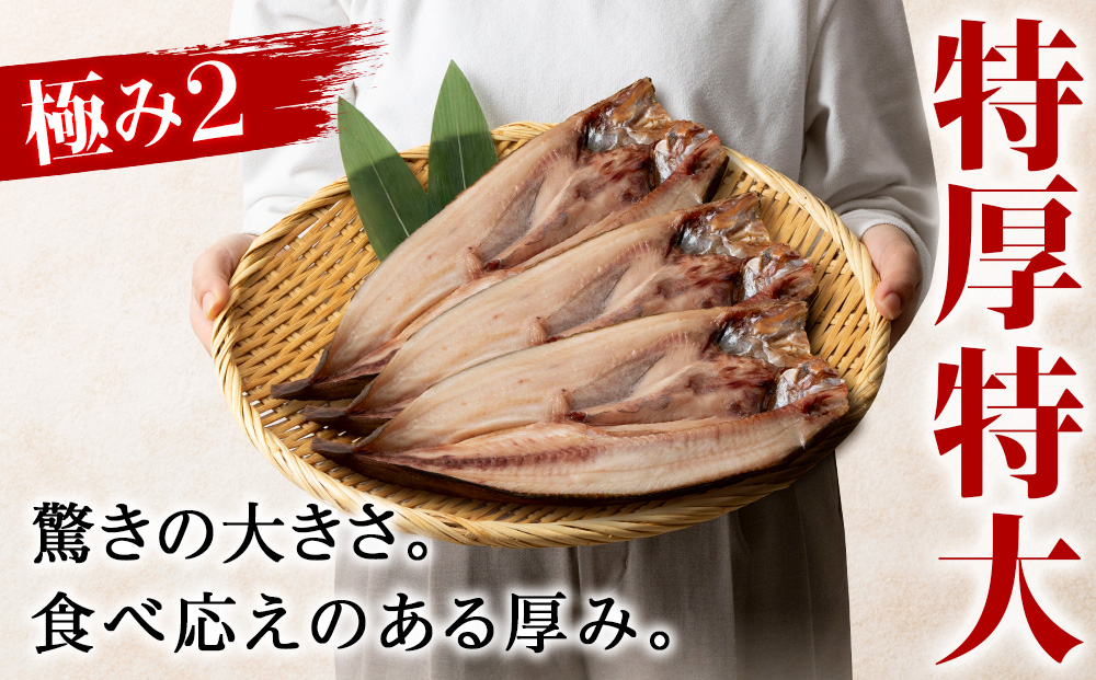 最高賞グランプリ受賞商品！至高の極干　特大真ほっけ　3枚