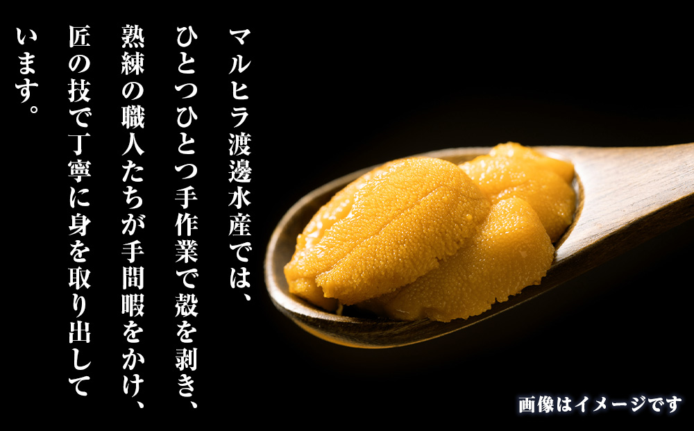 2026年発送 先行受付 ウニ本来の味が楽しめる【白老産】塩水ムラサキウニ 100g×3パック BT009