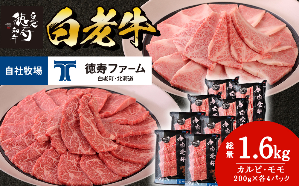 白老牛 焼肉 霜降り カルビ＆モモ セット 合計1.6kg（各800ｇ）特製焼肉のたれ付き 和牛 牛肉 北海道 ギフト ＜徳寿＞