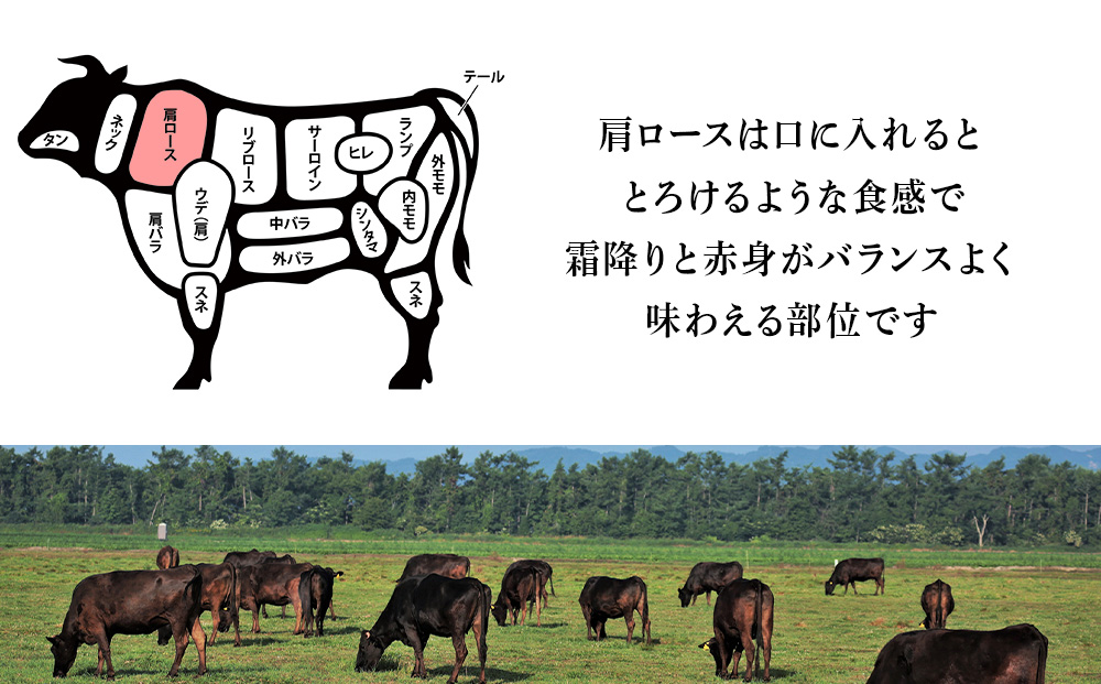 北海道 白老産 黒毛和牛 特上 モモ 赤身 ステーキ 150ｇ×5枚