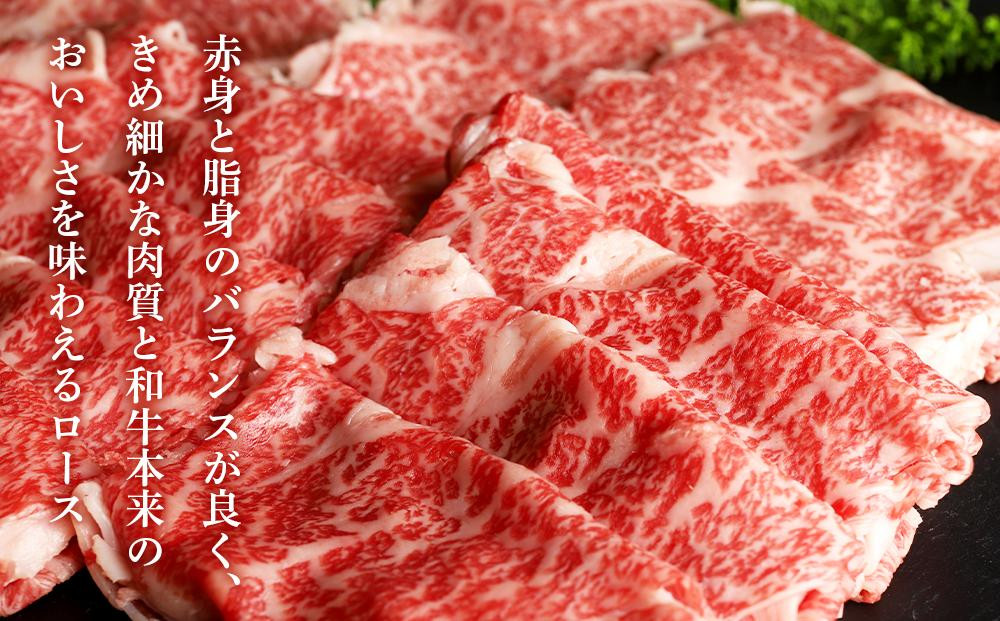  白老牛ステーキ・すき焼き(松)