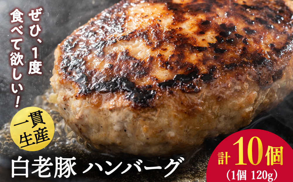 北海道産 白老豚 ハンバーグ 120ｇ×10個セット