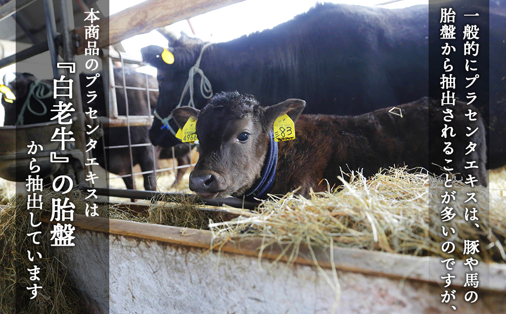 【定期便・全6回】北海道白老産 生プラセンタ美容液 〜アヨロのピリカ〜 