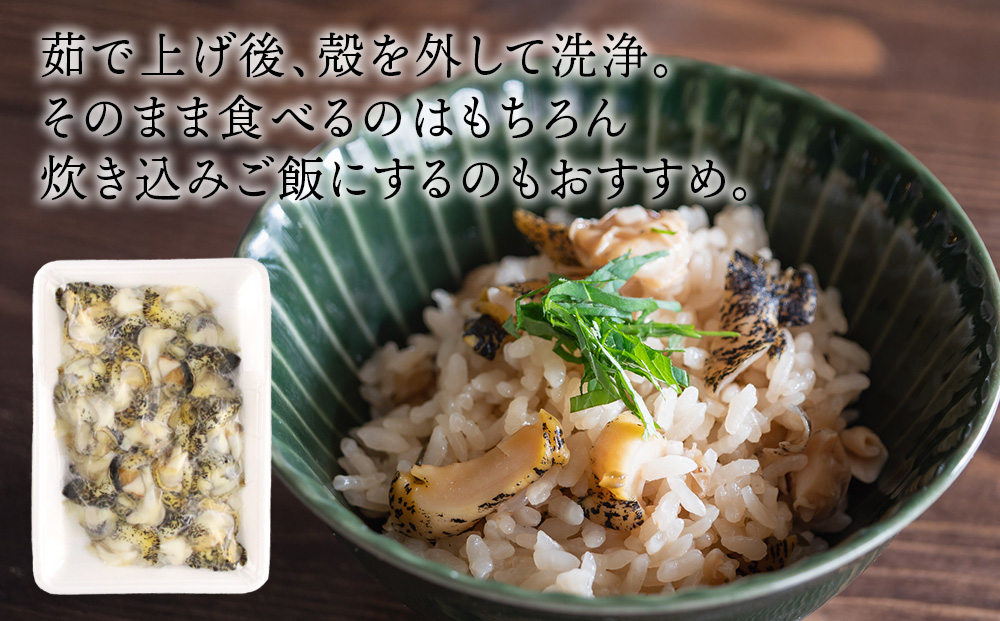 甘エビとつぶ2種セット（甘エビ・真つぶ・灯台つぶ）