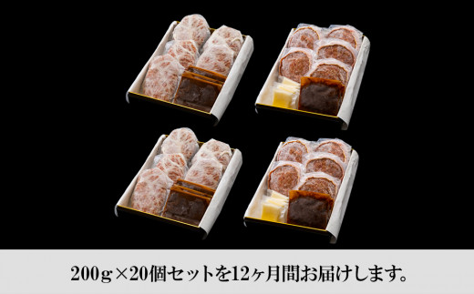 定期便12カ月 お楽しみ 白老牛 2種 食べ比べ ハンバーグ セット 合計20個 モッツァレラ ベーコン 網脂 特製ソース 手造り