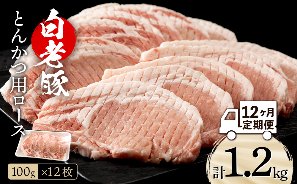 【定期便 12カ月】北海道産 白老豚 ロース とんかつ用 100g×12枚