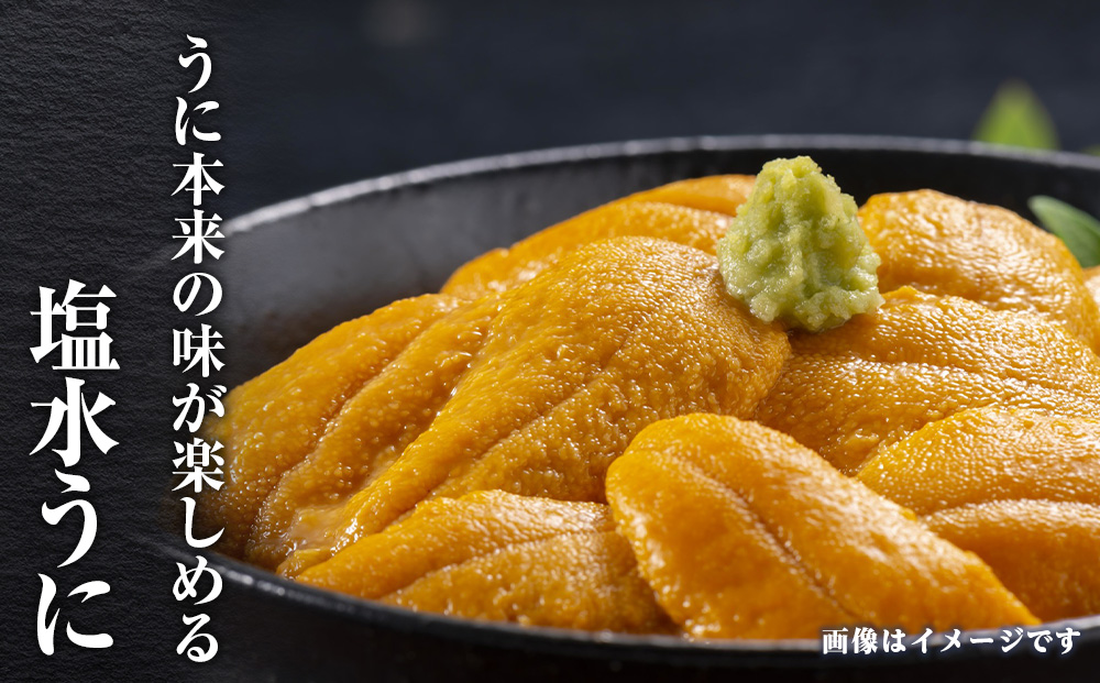 2026年発送 先行受付 ウニ本来の味が楽しめる【白老産】塩水ムラサキウニ 100g×1パック　BT007