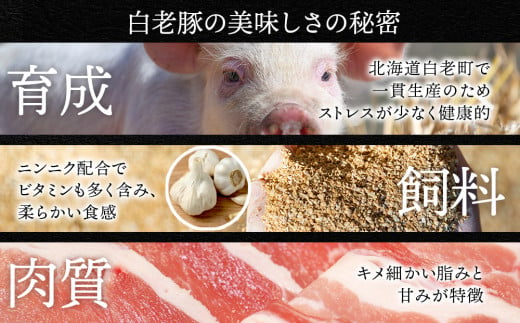 北海道産 白老豚 食べ比べセット（ロース・バラ・肩ロース・モモ各250g） 豚肉 冷凍 国産 スライス