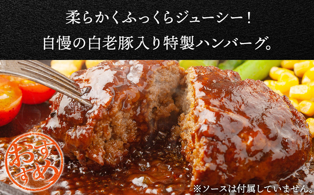 【定期便 6カ月】 北海道産 白老豚 ハンバーグ 120ｇ×15個 セット 冷凍 洋食 おかず