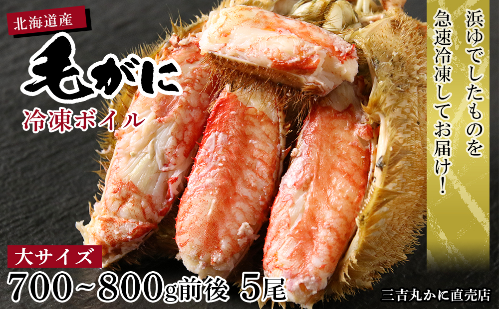 【大サイズ】北海道産 冷凍ボイル毛ガニ (700g-800g前後) 5尾 AS027 